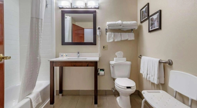 Четырёхместный люкс c 1 комнатой Comfort Suites near Robins Air Force Base