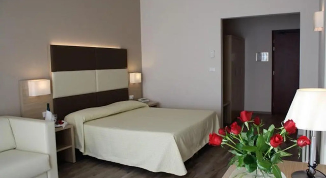 Двухместный номер Superior Hotel Napoleon