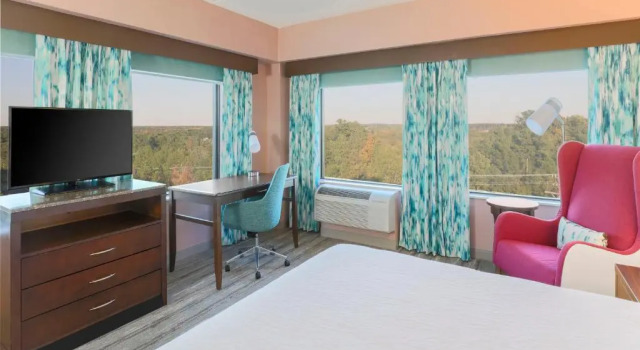 Двухместный номер Deluxe Hilton Garden Inn Raleigh-Durham/Research Triangle Park