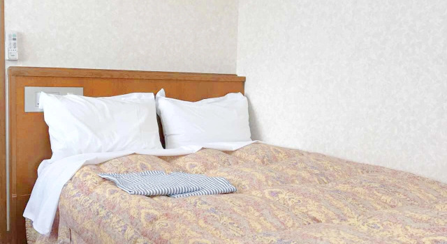 Одноместный номер Standard Hotel River Inn