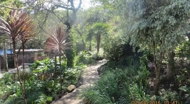 Windfall Weavers Guesthouse