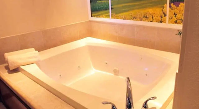 Номер Deluxe Sybaris Pool Suites Indianapolis