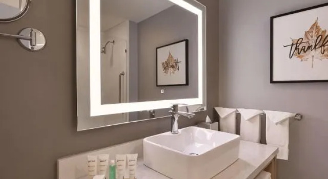 Люкс Radisson Hotel Atlanta Airport