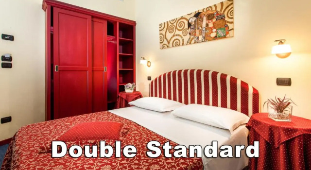 Двухместный номер Standard Hotel Da Vinci