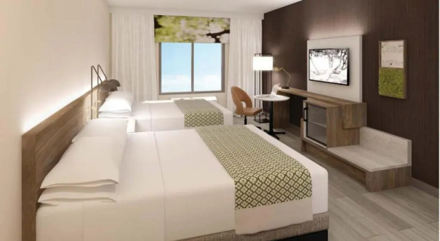 Четырёхместный номер Standard Wyndham Garden Sacramento Airport Natomas