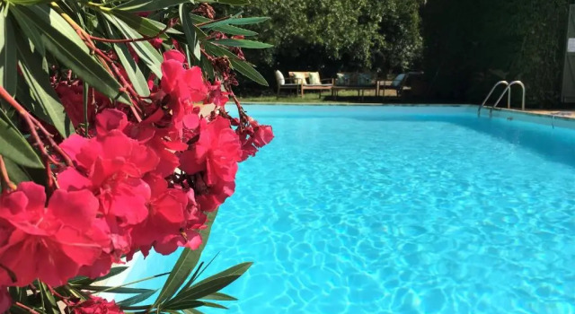 Коттедж Villa Fontane