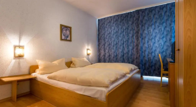 Двухместный номер Standard Hotel Regina