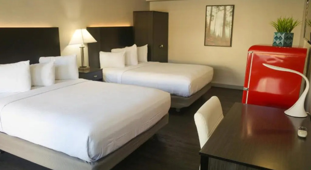 Superior- værelse Americana Modern Hotel