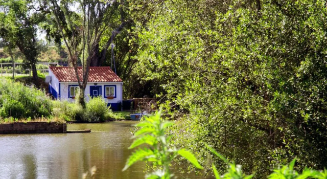Студия Quinta da Saudade