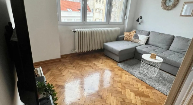 Comfortable apartment in city hub