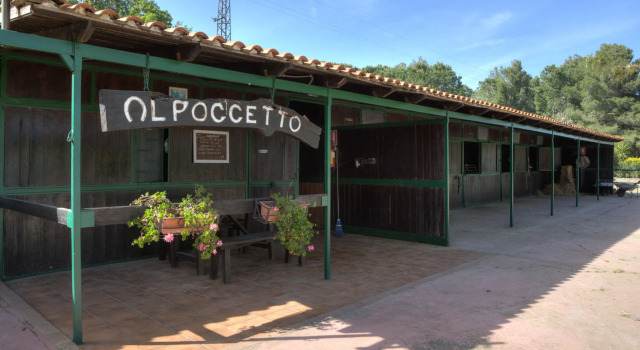 Agriturismo Al Poggetto, Book Landbrugsophold Santa Cristina Gela 