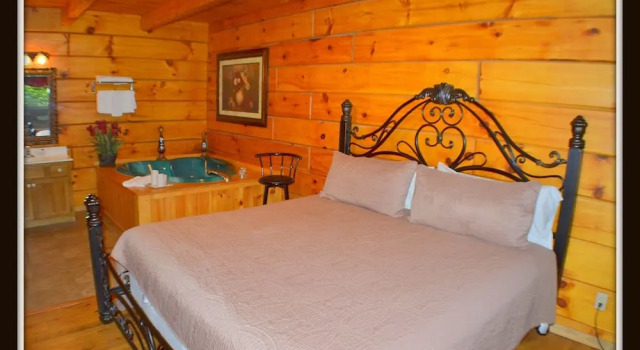 Priscilla Heights Lane Cabin 3210 - 1 Br cabin by RedAwning