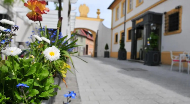 Номер Economy Romantik Hotel Zehntkeller
