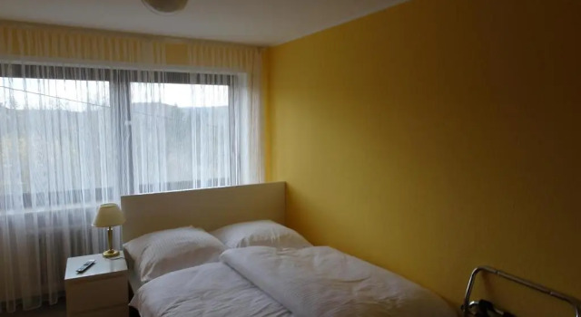 Номер Standard Hotel-Pension Schlossgarten