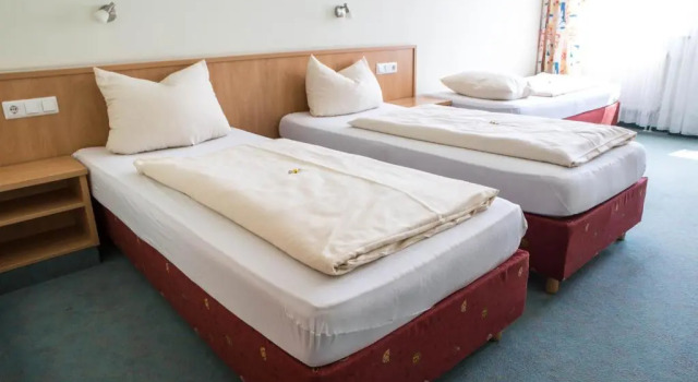 Трёхместный номер Standard Hotel Thannhof