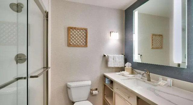 Двухместный номер Standard с балконом Hilton Garden Inn Idaho Falls