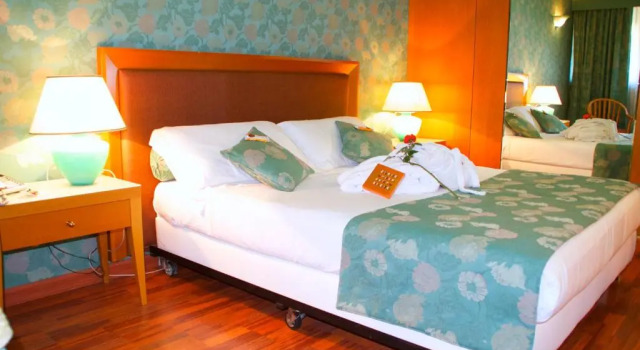 Двухместный номер Deluxe Hotel Motel Visconteo