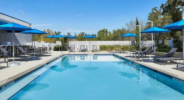 Номер Standard Four Points by Sheraton Tallahassee Downtown