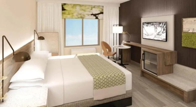 Номер Standard Wyndham Garden Sacramento Airport Natomas