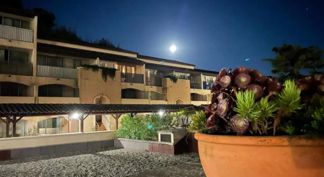 Appartement les 3 caps avec piscine et vue mer