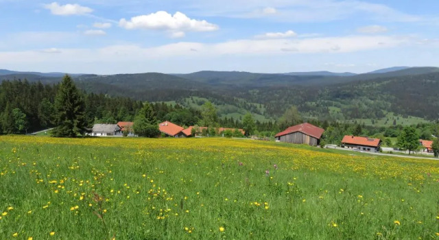 Апартаменты Hotel Mitterdorf