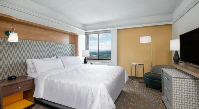 Номер Standard Holiday Inn & Suites Pittsfield-Berkshires by IHG