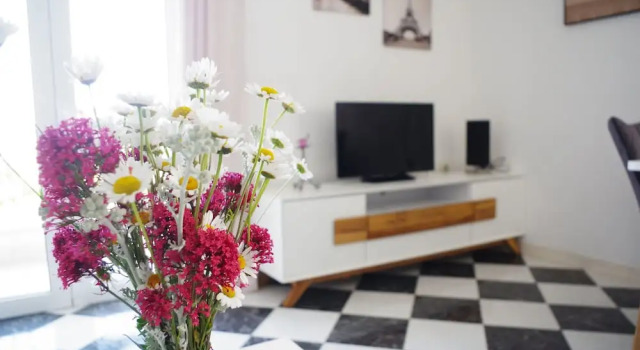 Apartments Zvonko