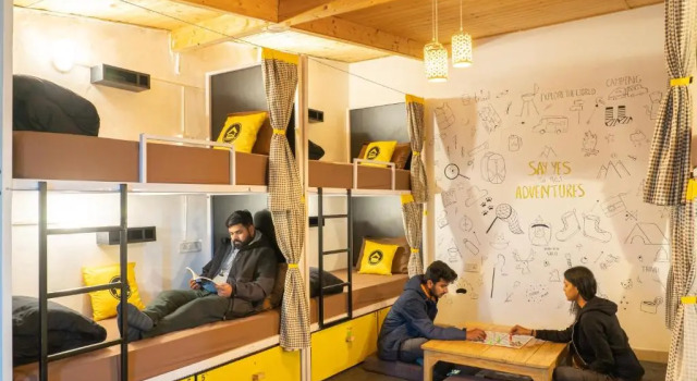 Кровать в общем номере Lushtree Backpackers - Hostel & Cafe