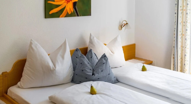 Номер Standard Linharterhof Ferienwohnungen