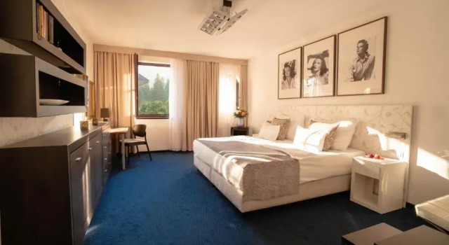 Номер Superior Hotel Savoy Špindlerův Mlýn