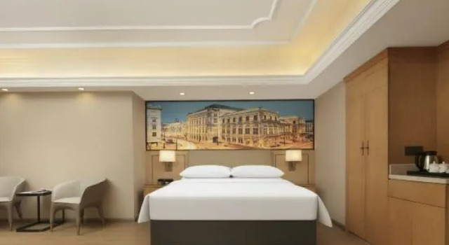 Люкс Deluxe Vienna Hotel (Leiyang)