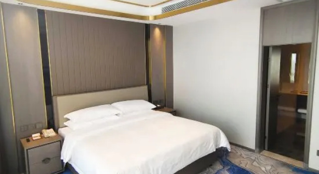Люкс Superior Vienna Hotel （Xinhe Yixing Building Hotel）