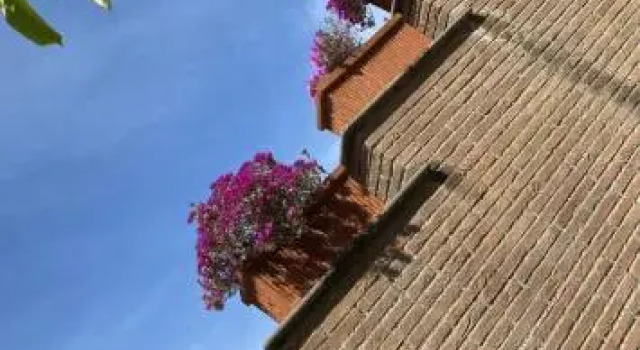 Villa Mariposa, Prenota Villa Ville a Lazio, Villa