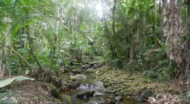 Casa na Floresta, Reserva ahora Hotel Itatiaia Río de Janeiro