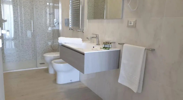 Двухместный номер Standard Hotel Aurora