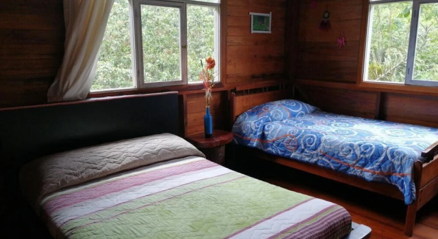 Mindo Paradise Hosteria, Book Hotel Hotels in Mindo with a Pool, Swimming Pool