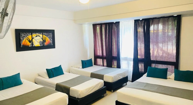 Четырёхместный номер Standard Hotel Tree House