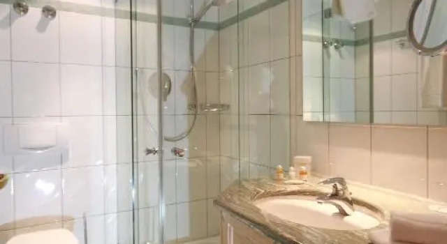 Номер Standard Hotel Gsteig