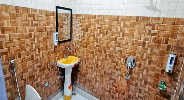 Номер Standard Hotel Krishna Manu Palace