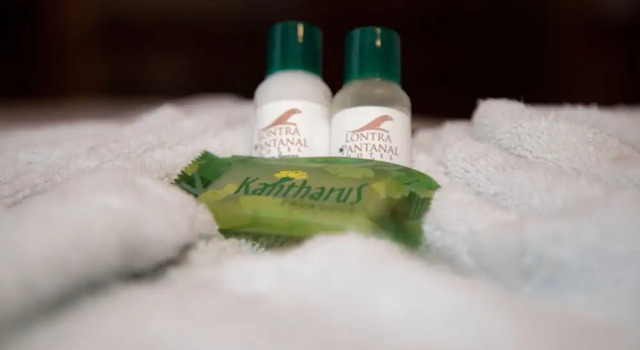 Номер Standard Lontra Pantanal Hotel