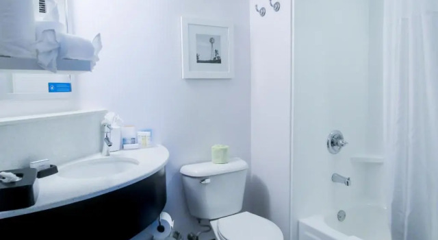Четырёхместный номер Standard Hampton Inn & Suites Newtown