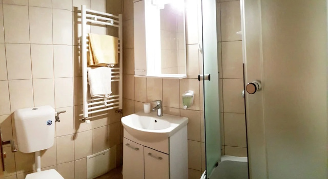 Номер Deluxe Vila Alfa Dumbrava