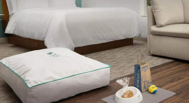Номер Standard Element by Marriott Portland Beaverton