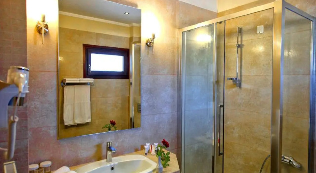 Номер Standard Enastron View Hotel