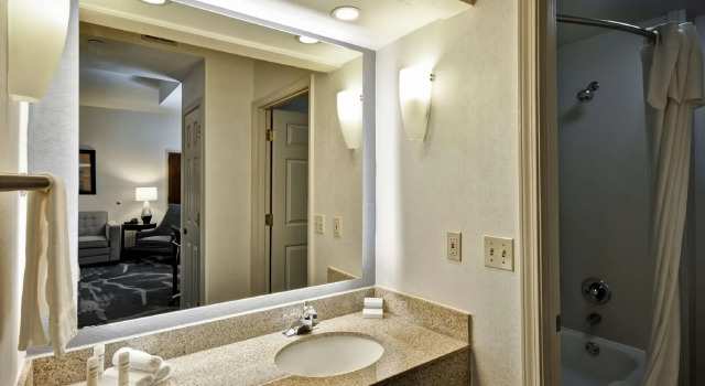 Четырёхместный люкс c 1 комнатой Homewood Suites Memphis Germantown