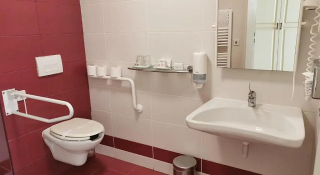 Двухместный номер Standard Calimbra Wellness Hotel Superior