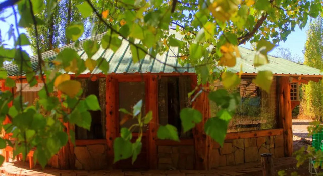 Апартаменты Cabañas Los Renuevos