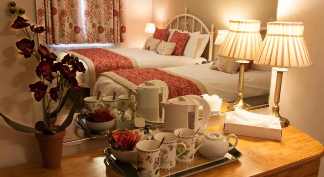 Номер Deluxe Kingfisher Lodge