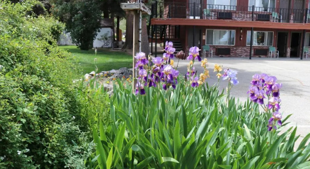 Коттедж Lake View Lodge