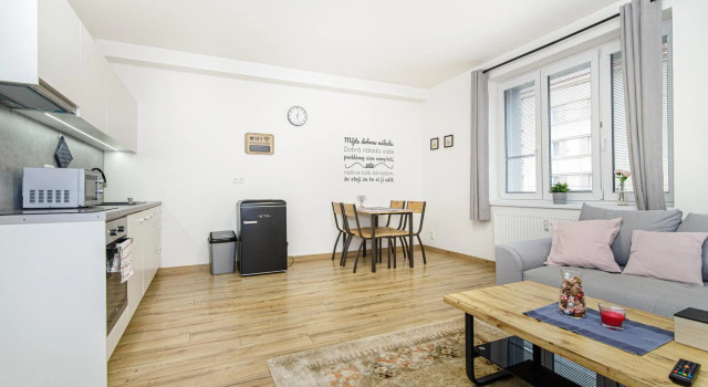 Lovely 1 Bedroom Aparment Fully Revovated
